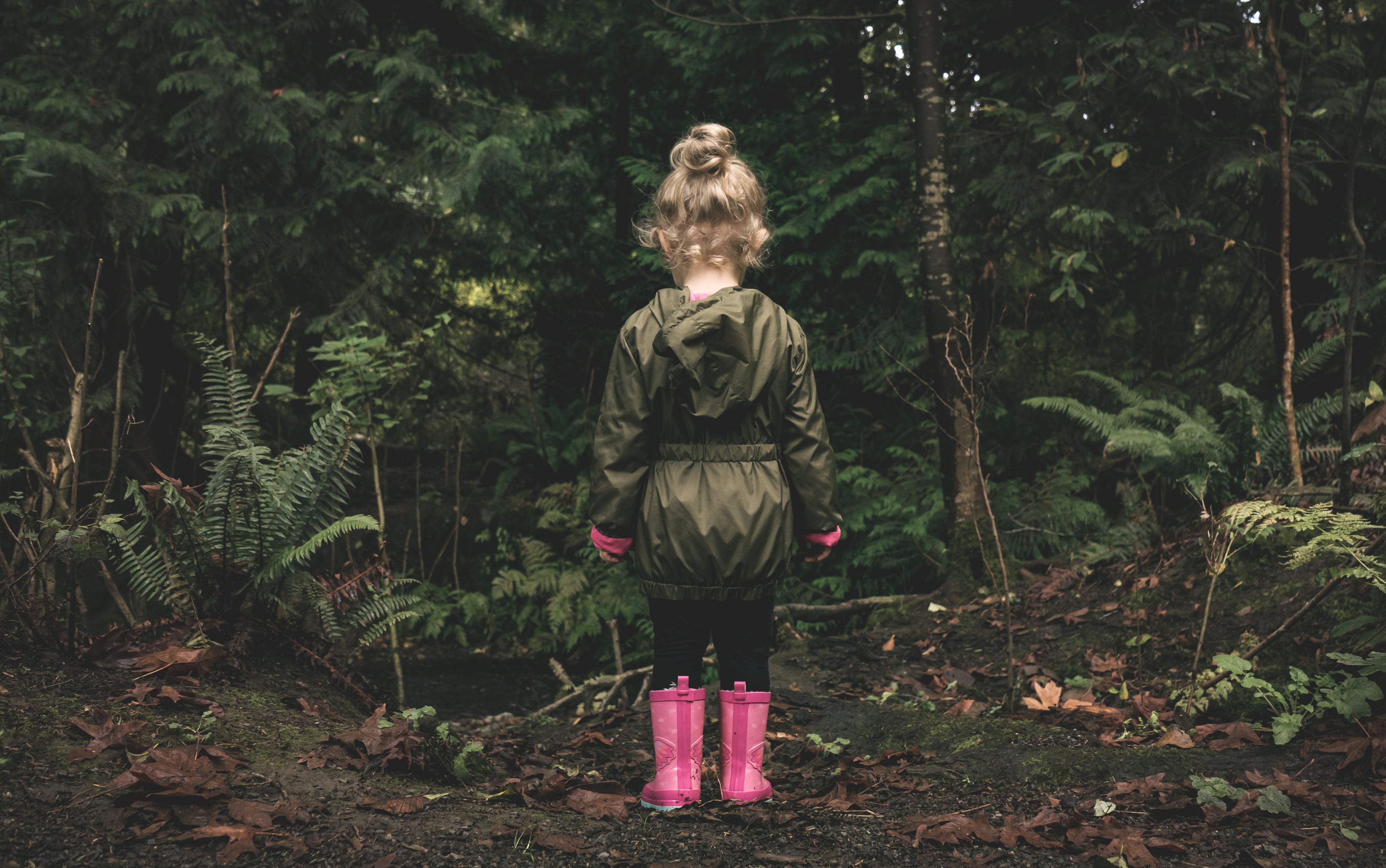 files/a-child-takes-in-nature.jpg