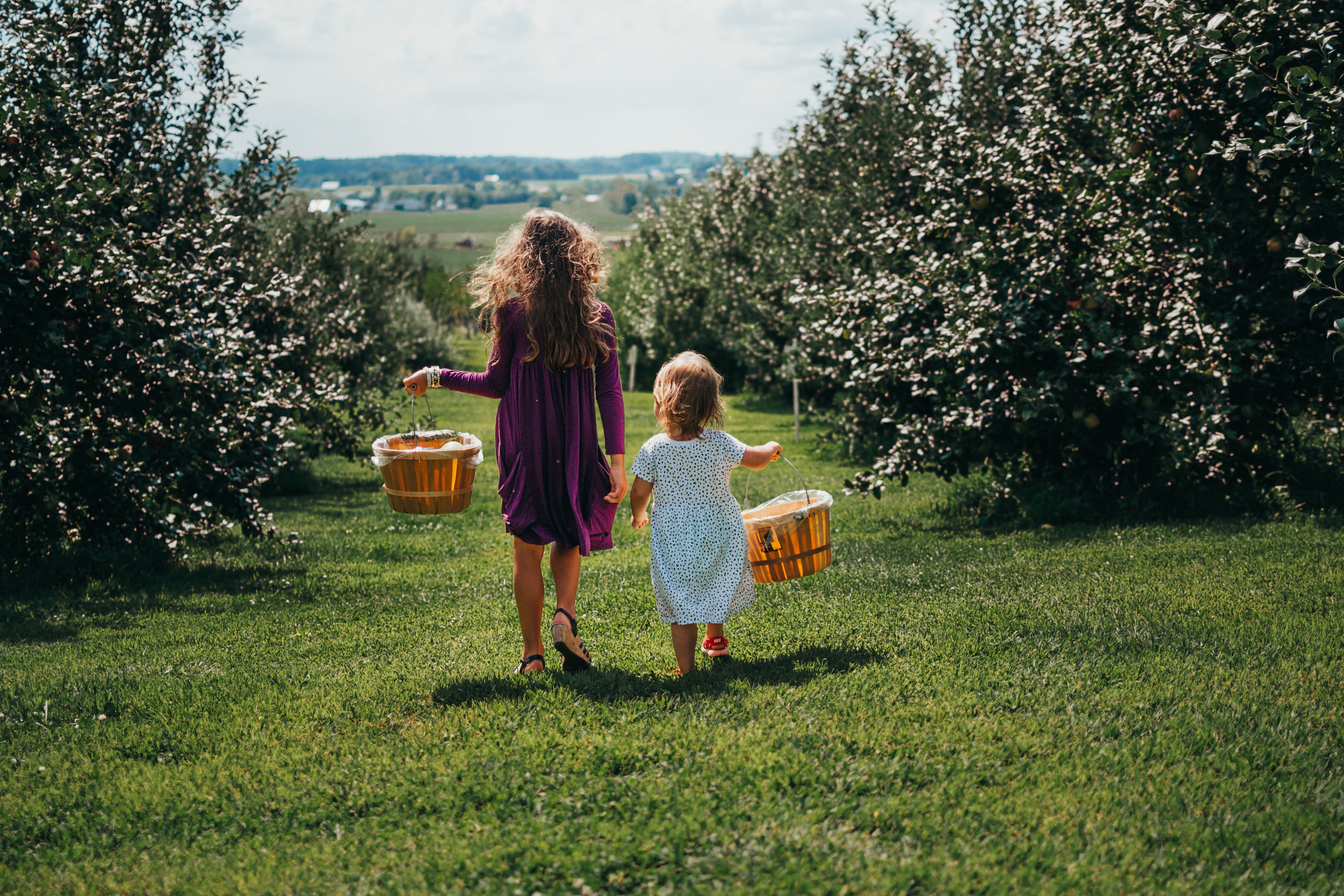 files/children-picking-fruit.jpg